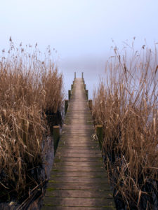 Seeufer im herbstlichen Nebel Seeufer im herbstlichen Nebel